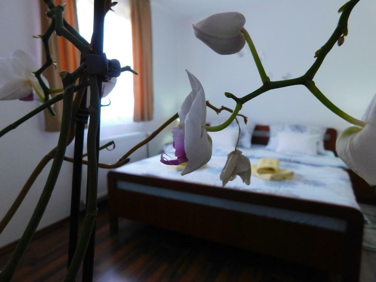Apartment Petrovic 슬루니 외부 사진